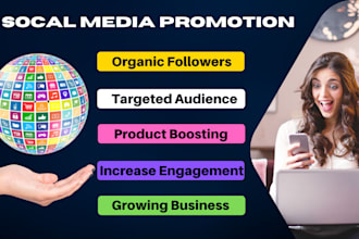 do social media organic promotion, ads setup and management