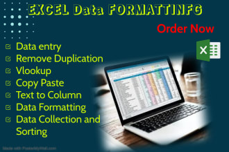 do excel data sorting, merging, formatting, vlookup, pivot