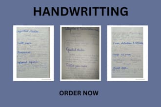 write anything for you in my beautiful handwriting assignment and study notes