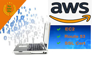 be aws architect, install snap ec2 server, free SSL certbot on ec2 server