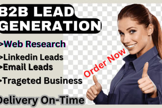 do 500 b2b lead generation,data entry,data mining,linkedin leads,web research