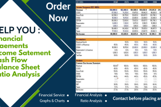 prepare financial statement, profit and loss, and cash flows