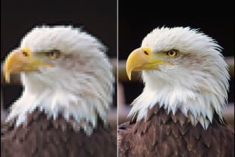 upscale, sharpen, restore your images professionally
