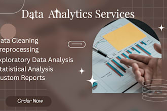 professional data analysis with python pandas and visualization services