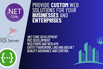 provide custom web solutions for your business