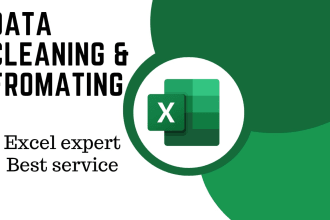 do excel data cleaning, formatting, entry and sorting