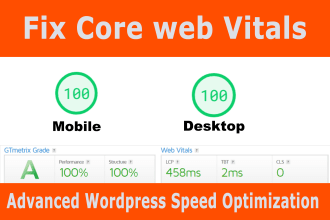 speed up wordpress website optimization, fix core web vitals issues