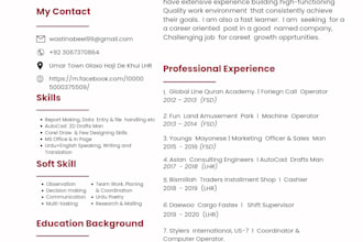 make a professional resume CV for you
