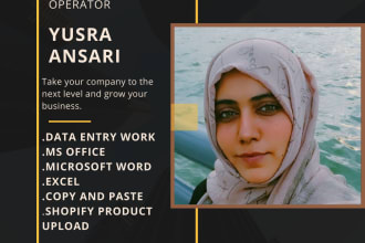 do professional data entry, accounting, ms office work