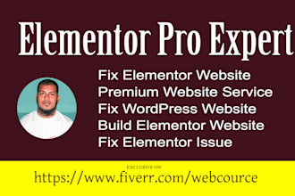 fix elementor website issue