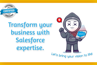 be your salesforce admin, developer, and consultant