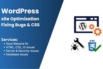 fix issues with your wordpress site