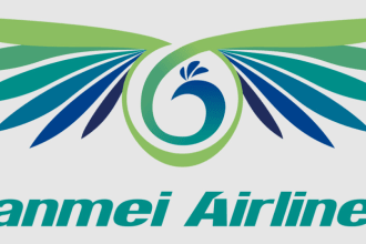 create an elegant airline logo in very short time
