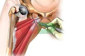 draw anatomy and medical illustrations for you
