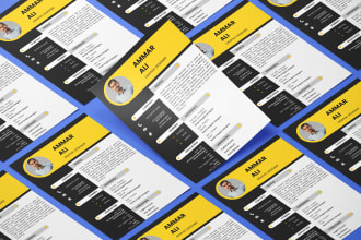 do professional cv, resume design using ps, ai, id, word, canva