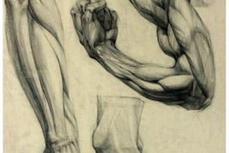 design medical and scientific illustrations