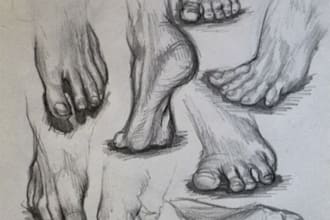 create scientific and medical illustrations