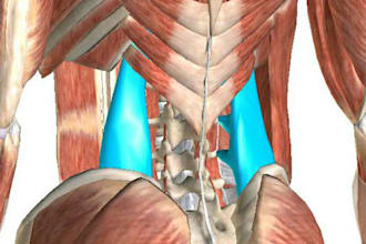 do scientific medical figures illustrations