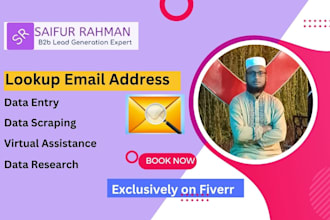 lookup email addresses and phone numbers data entry work