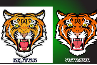 high quality vector tracing, vectorize your logo, convert image to vector