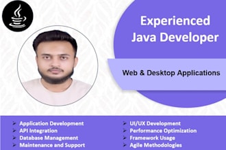 design and develop professional desktop applications
