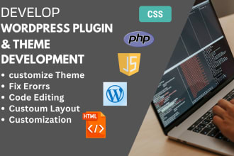 develop and  customize wordpress plugin, custom coding and theme