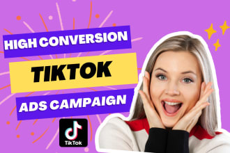 setup tiktok ads campaign, be your tik tok advertising manager