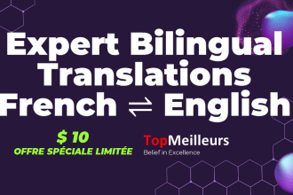 provide expert french to or from english translations