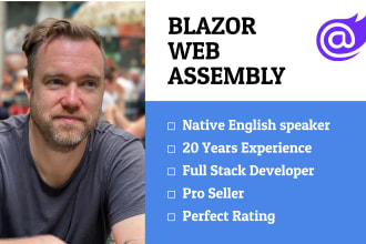 build your blazor web assembly app