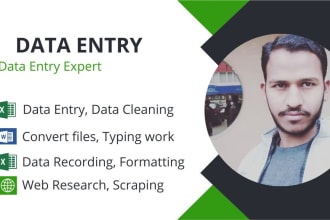 do ms excel data cleaning, data entry, web research and lead generation