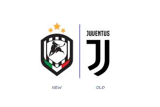 do soccer or football club logo design or redesign