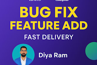 fix bugs and add features in your laravel website