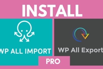 install or update wp all import or wp all export pro