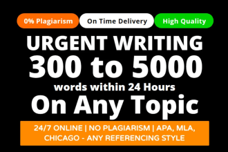 do urgent essay writing, report research and summary