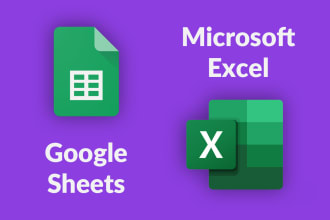 do your google sheets or excel work professionally and fast