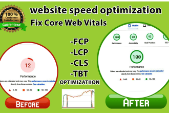 fix core web vitals issues and website speed  optimization