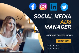 create and manage facebook ads, instagram ads, linkedin ads