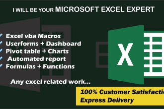 be your excel spreadsheet, formula, vba, data cleaning expert