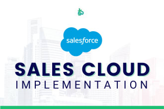 setup your salesforce sales cloud instance