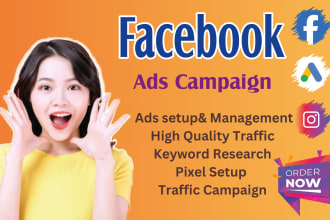 be your facebook ads manager and fb advertising