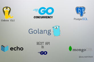 develop, fix your backend, api and cli in golang