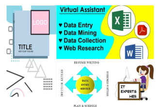 do data entry,coy paste,web research,convert files,typing