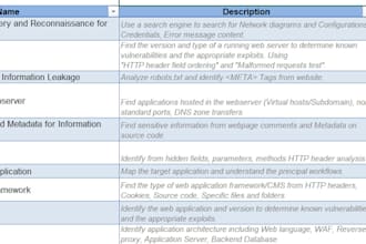 perform website security assessment and testing