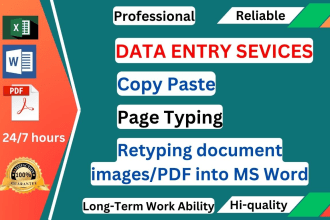 do fast and accurate data entry, page typing, retyping, copy paste work