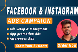 setup and manage facebook ads and instagram ads campaign