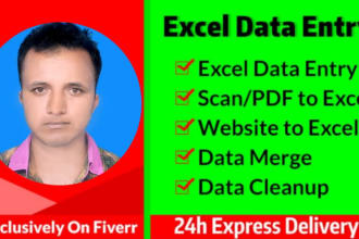 do data entry, cut,copy, paste