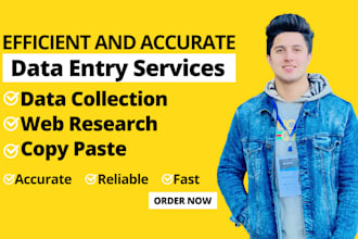efficient and accurate data entry services