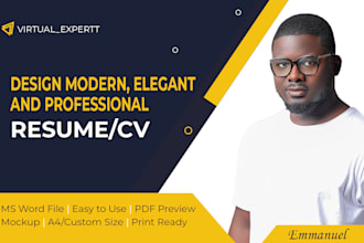 deliver professional resume design and CV design
