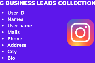find business leads from instagram with details