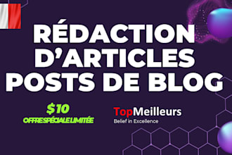 write SEO friendly blog posts or website articles in french